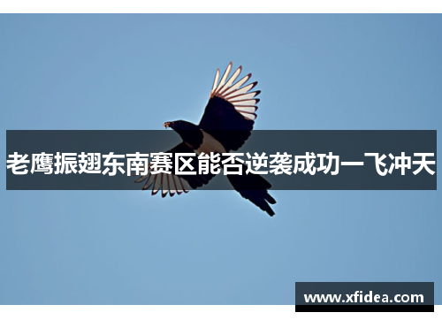 老鹰振翅东南赛区能否逆袭成功一飞冲天 老鹰振翅东南赛区能否逆袭成功一飞冲天