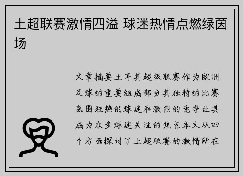 土超联赛激情四溢 球迷热情点燃绿茵场 土超联赛激情四溢 球迷热情点燃绿茵场